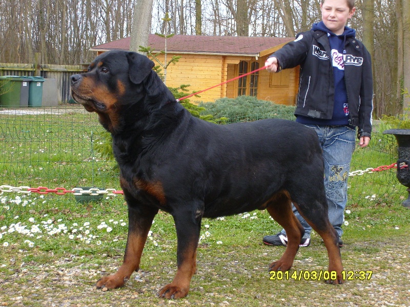 Otto ( automne) Of hard moutains